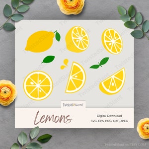 Lemons svg, Lemon svg, lemon Clipart, lemon, Fruit, cricut, digital, cutting file, svg, dxf, png, eps, jpg, vector, fruit png, fruit svg