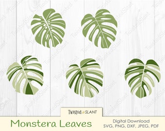 Monstera leaf svg | monstera svg | tropical leaves svg | monstera vector | monstera clip art | plant lover svg | tropical leaves clipart