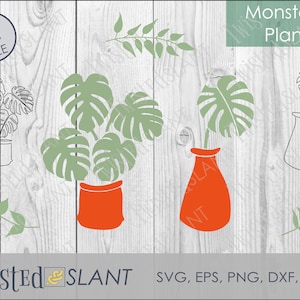 Monstera svg cut file for Cricut or Silhouette, monstera leaf svg, variegated monstera, plant bundle, tropical leaves svg, monstera clip art