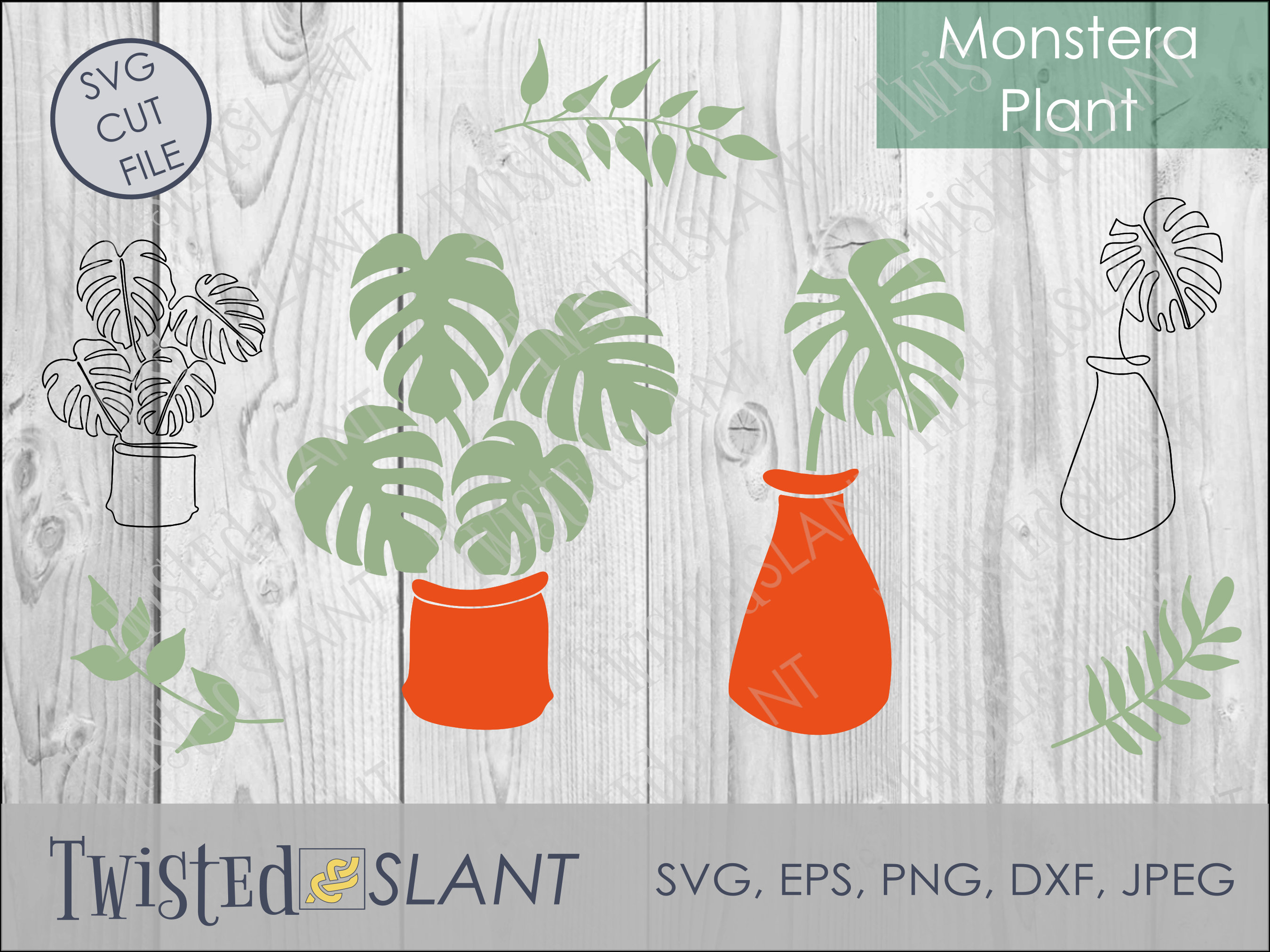 Monstera Svg Cut File for Cricut or Silhouette, Monstera Leaf Svg ...
