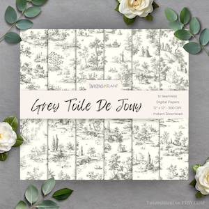 Papier numérique Toile de Jouy | TÉLÉCHARGEMENT IMMÉDIAT | Toile grise | Papier pour chinoiseries | Paquet de papier transparent | Journal indésirable en toile | Gris| TDJ1