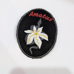 May include: A black and gray embroidered patch with a white flower and the word "Amatus" in red lettering.