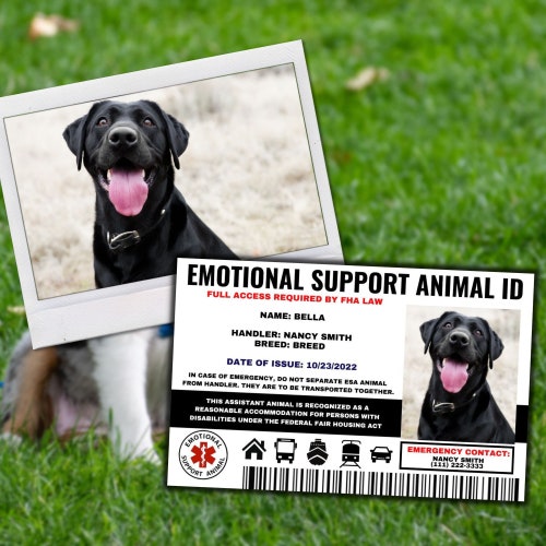 Free Emotional Support Animal Id Card Cat