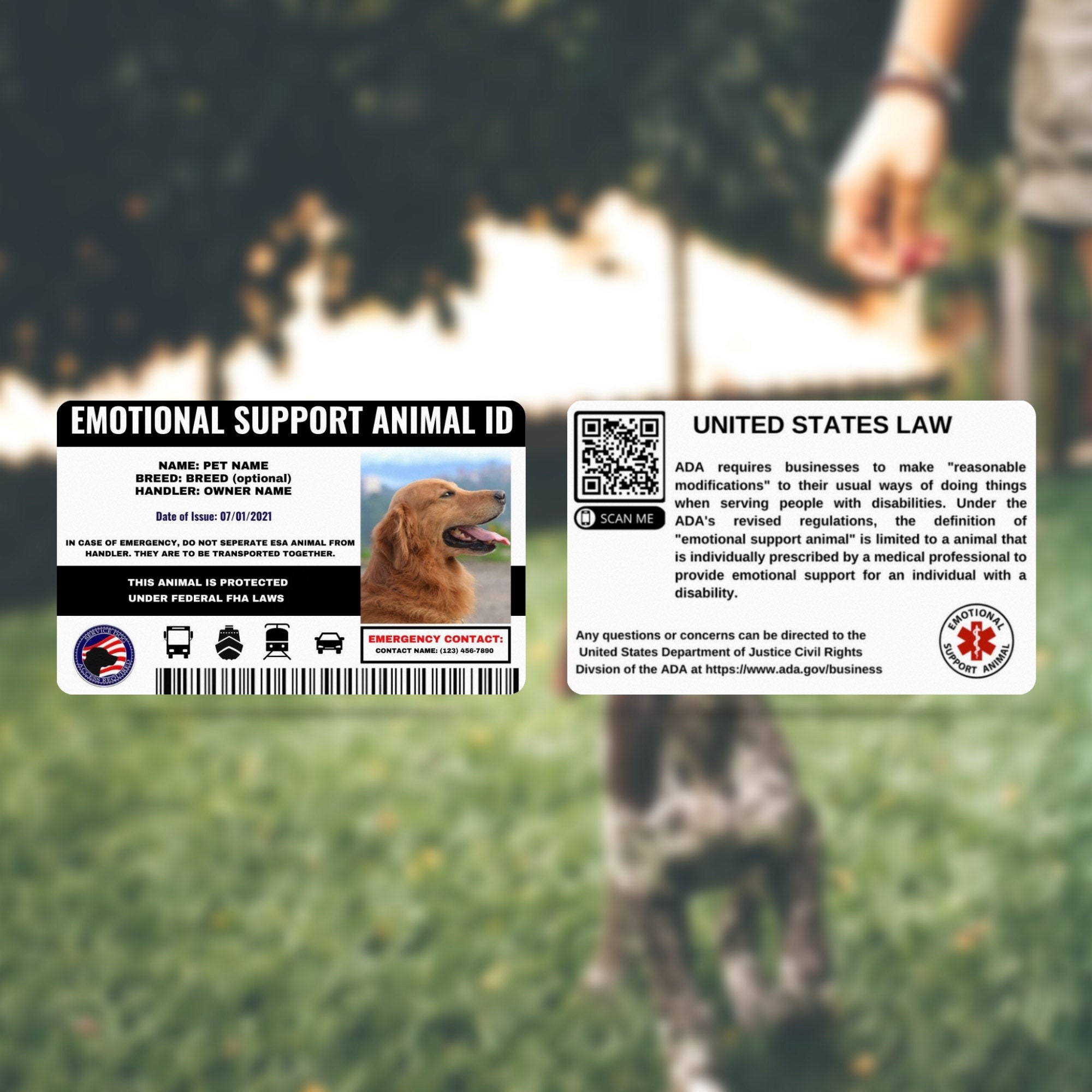 Are Emotional Support Dogs Protected By Ada