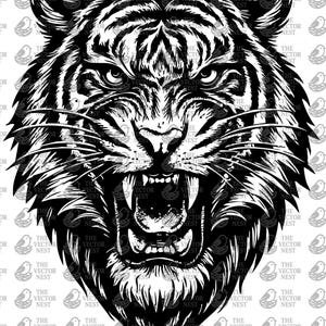 Tiger-Kopf-Svg- und -PNG-Dateien, Safari-Tiere Clipart-Silhouette, Vektorbild, Schnittdatei SVG für Hemden, transparenter Hintergrund, digitaler Download