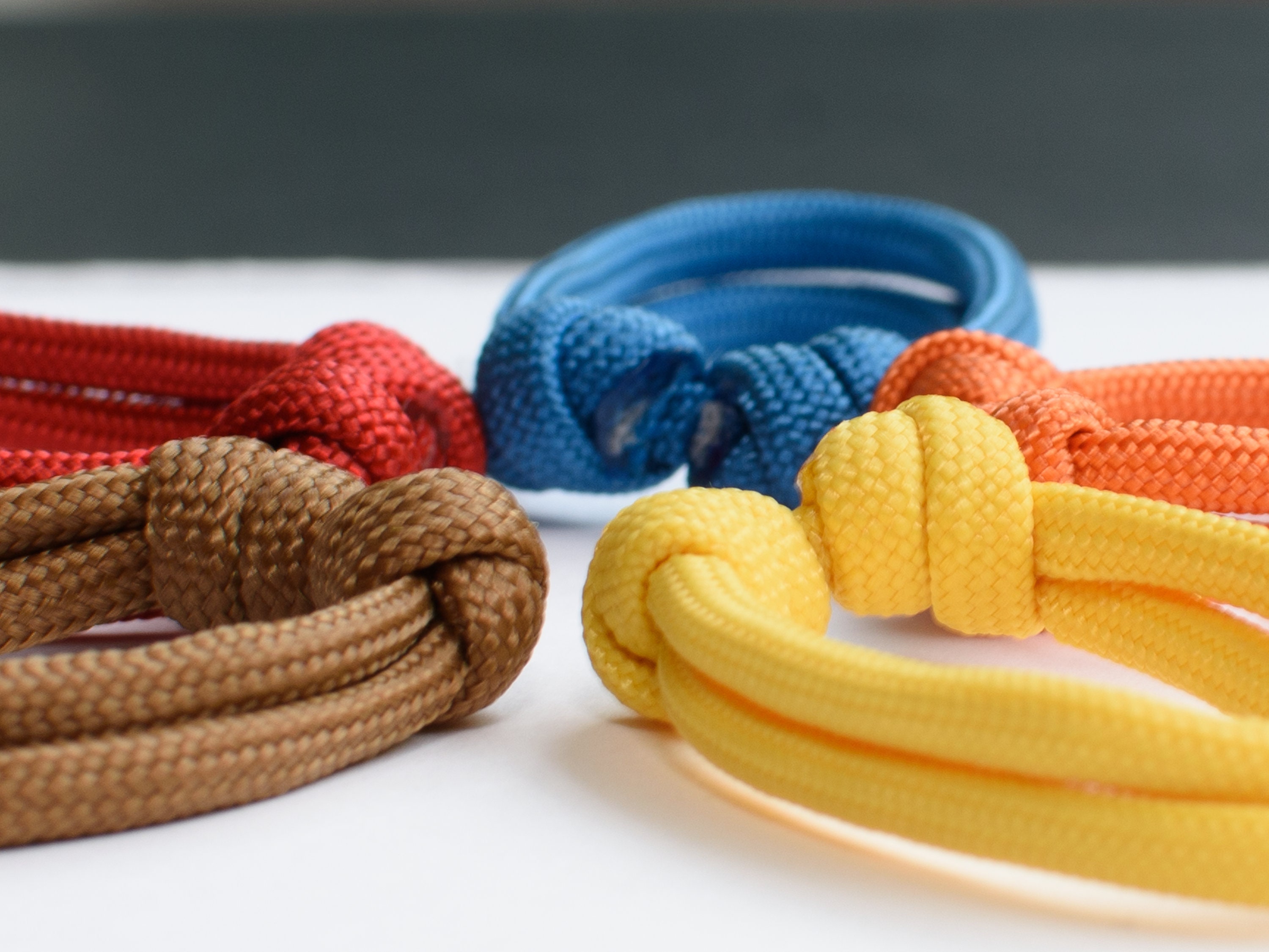 Puppy ID Collars, Adjustable Whelping Collars for Newborn Puppies Etsy UK