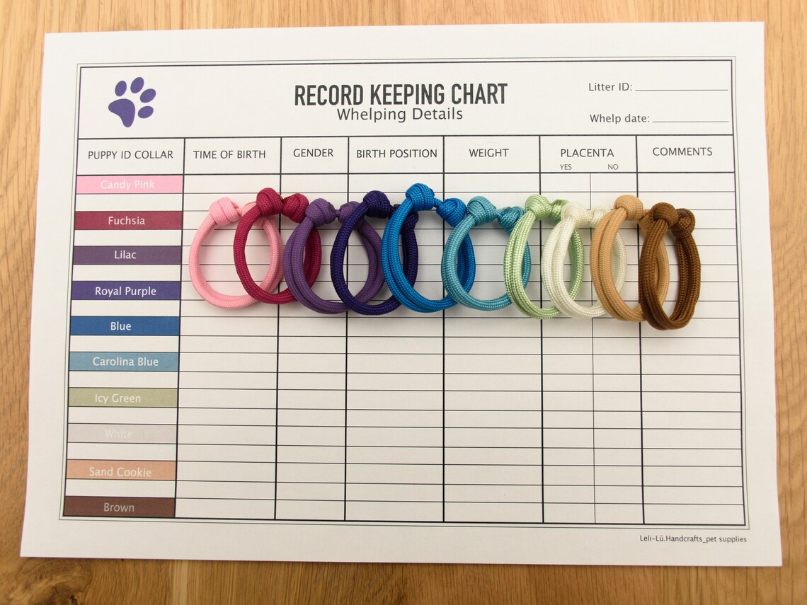 Record Keeping Charts for Breeders / Dog Breeder Charts Bundle / Whelping Details / A4 Printable ...