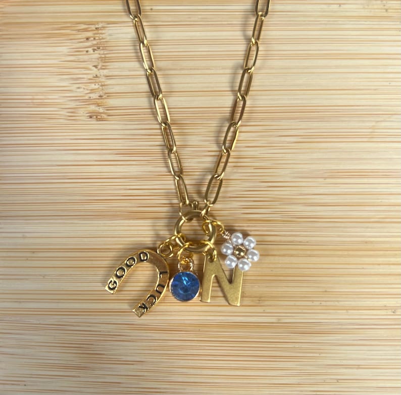 May include: Gold chain necklace with multiple charms, including a horseshoe with the words "Good Luck" engraved on it, a blue gemstone, a letter "N", and a white flower charm.
