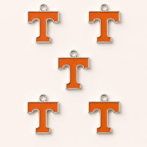 University of Tennessee Enamel Charm | UT VOLS Jewelry