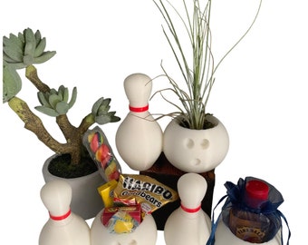 Bowling Ball & Pin Planter: Unique Indoor Succulent Pot, Upcycle, Plant Lover Gift, Sports Enthusiast, Creative Home Accent, Eco-Friendly