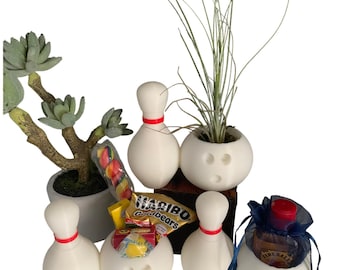 Bowling Ball & Pin Indoor Planter: Succulent Vase