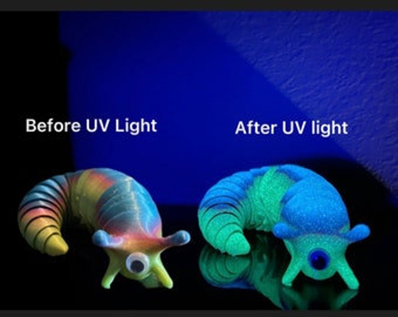 Sensory 3D Fidget Slug/worm Customizable Glow in the Dark - Etsy