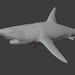 Giant Shark Miniature for D&amp;d/pathfinder 4 Points - Etsy