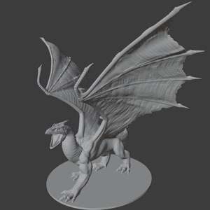 White Dragon Miniatures for D&D/Pathfinder