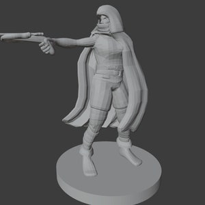 Rogue Miniatures for D&D/Pathfinder (1 point)