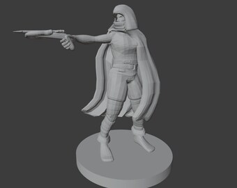 Rogue Miniatures for D&D/Pathfinder (1 point)
