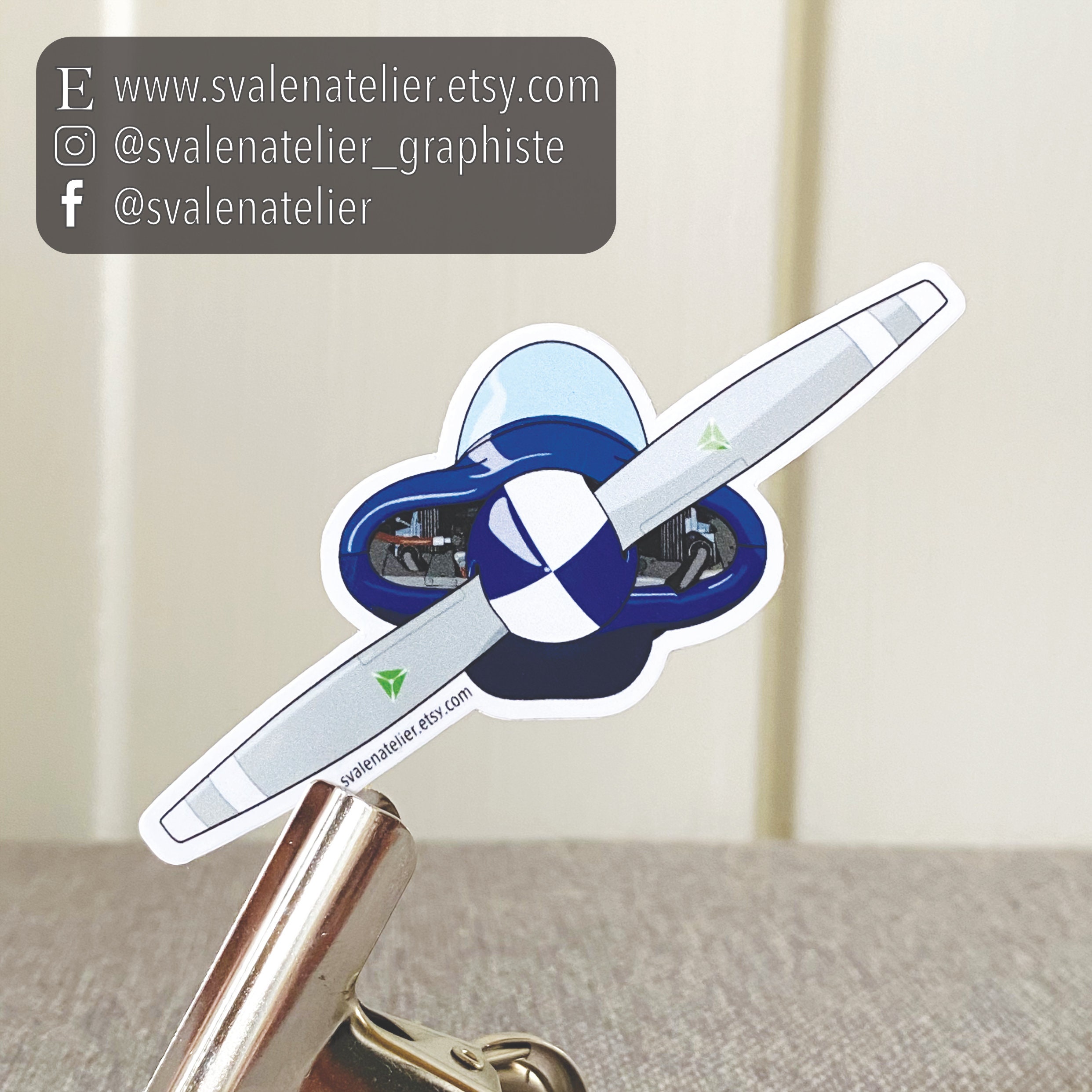 Plane Glider René Fournier RF5 Sticker Original Old Plane Sticker Pilot