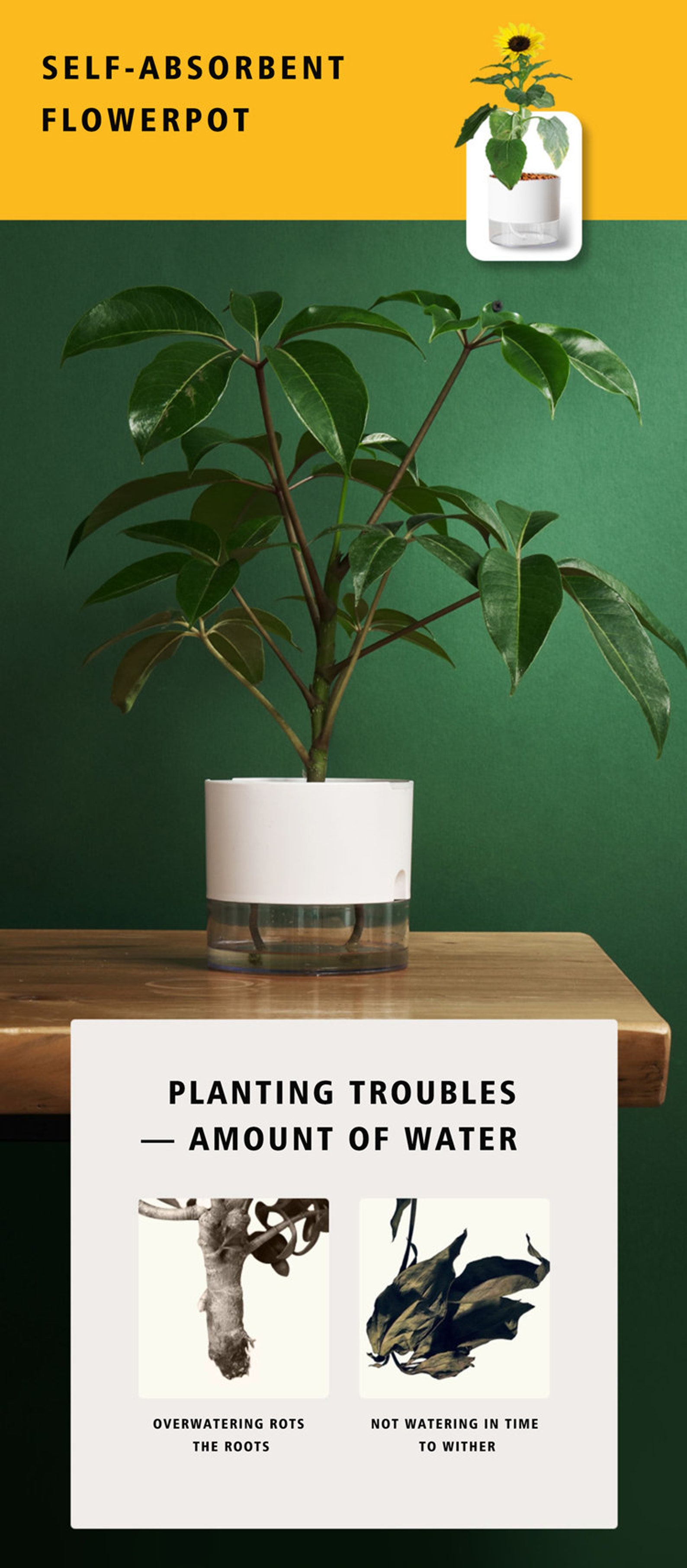 SIEHE VIDEO Pfiffiger Indoor Aquaponik Über pflanzer für | Etsy