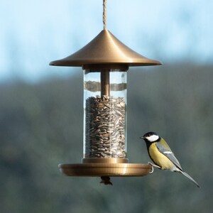 mangeoire à oiseaux déco (or)