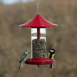 Mangeoire à oiseaux verre -  France