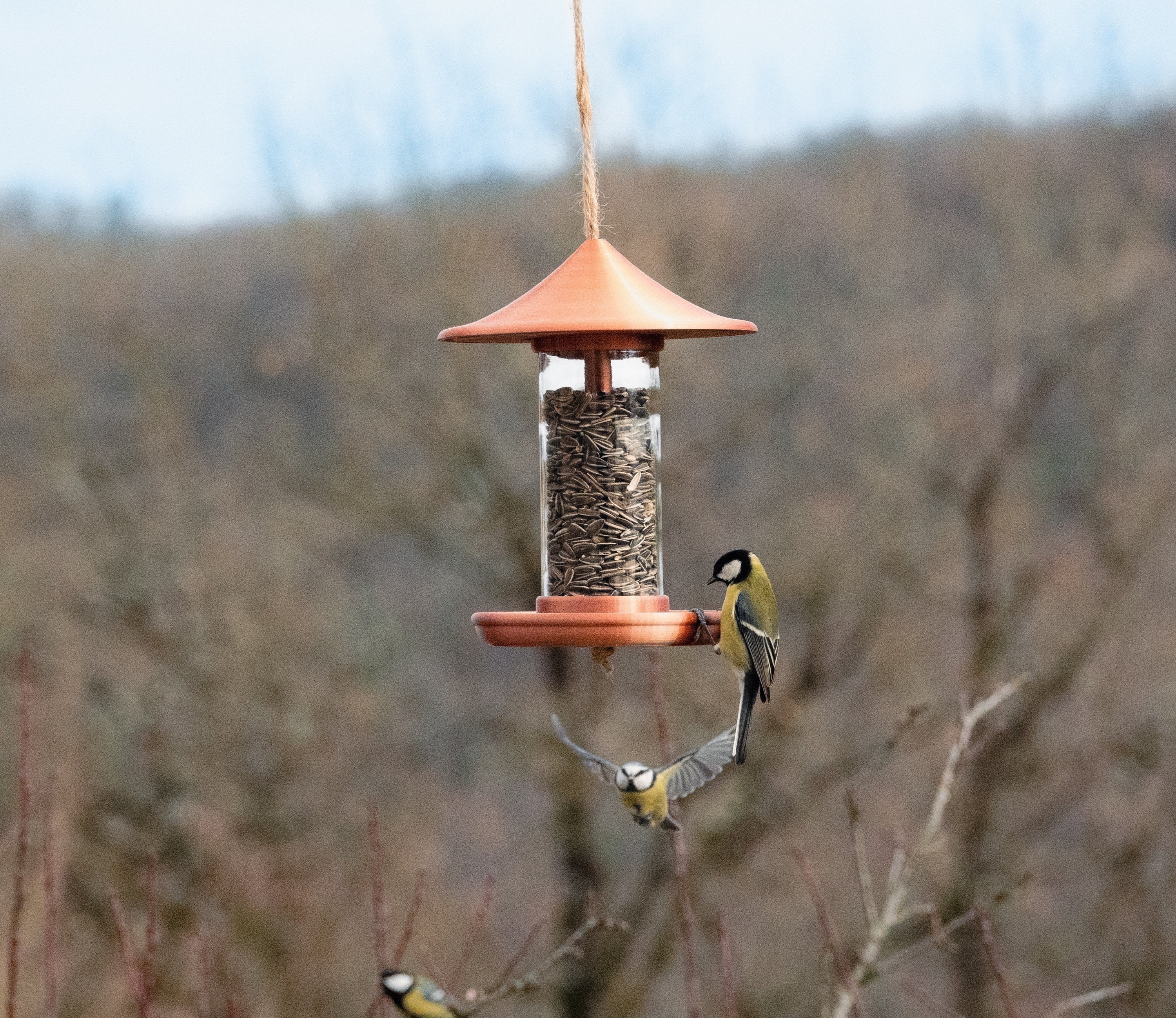 Mangeoire à Oiseaux Déco | Cuivre