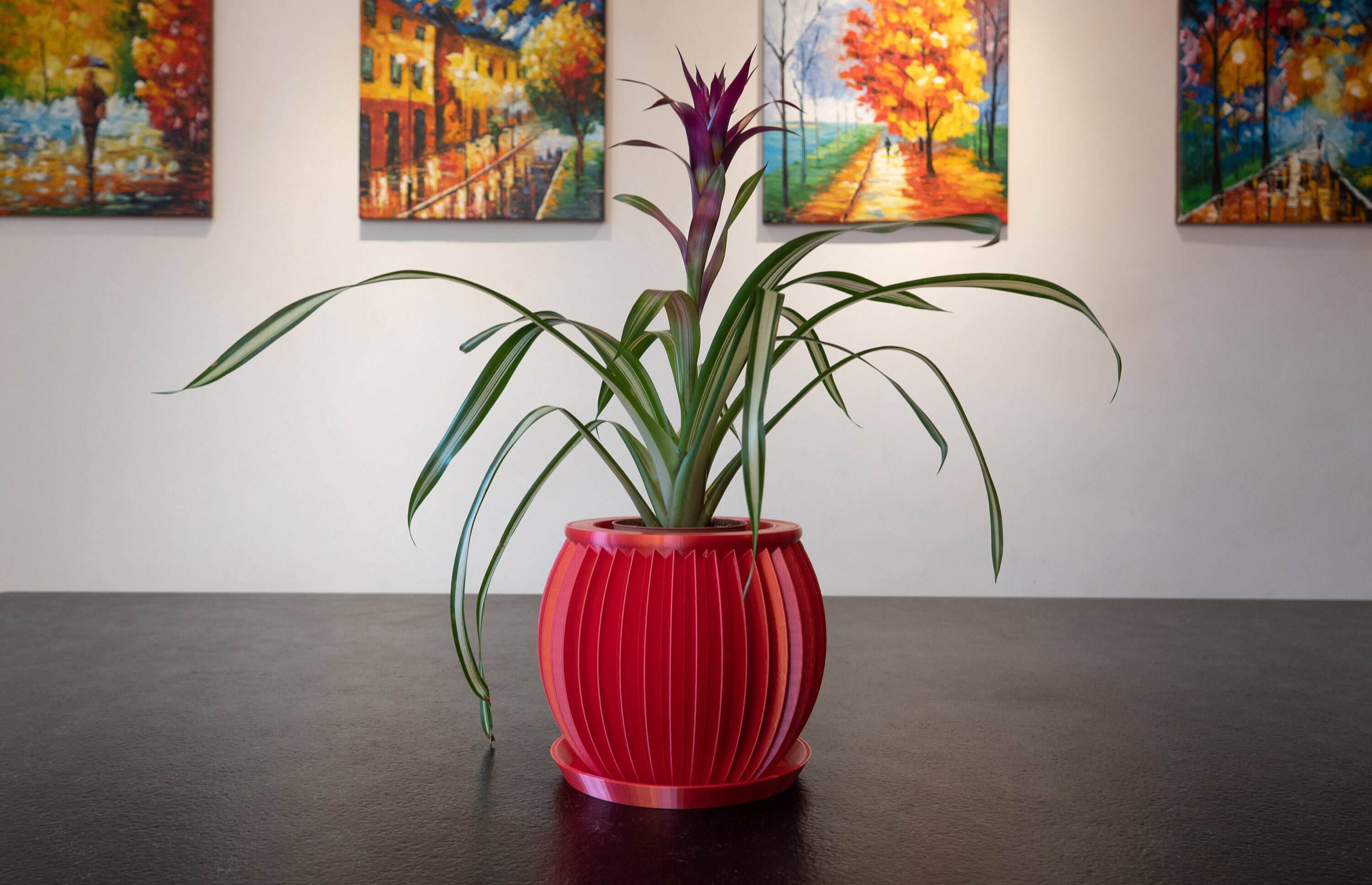 Grand Pot de Fleur Design Cactus | Rouge