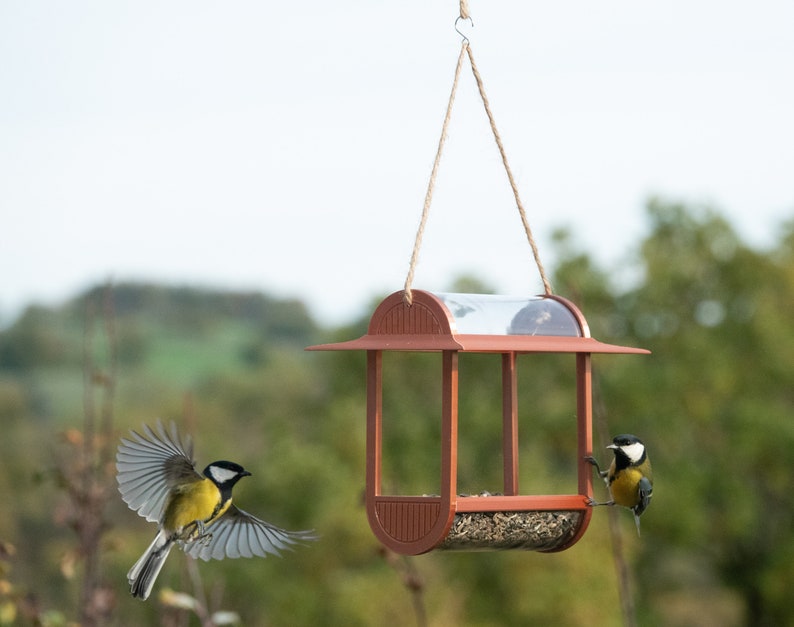 mangeoire à oiseaux design panoramique cuivre image 3