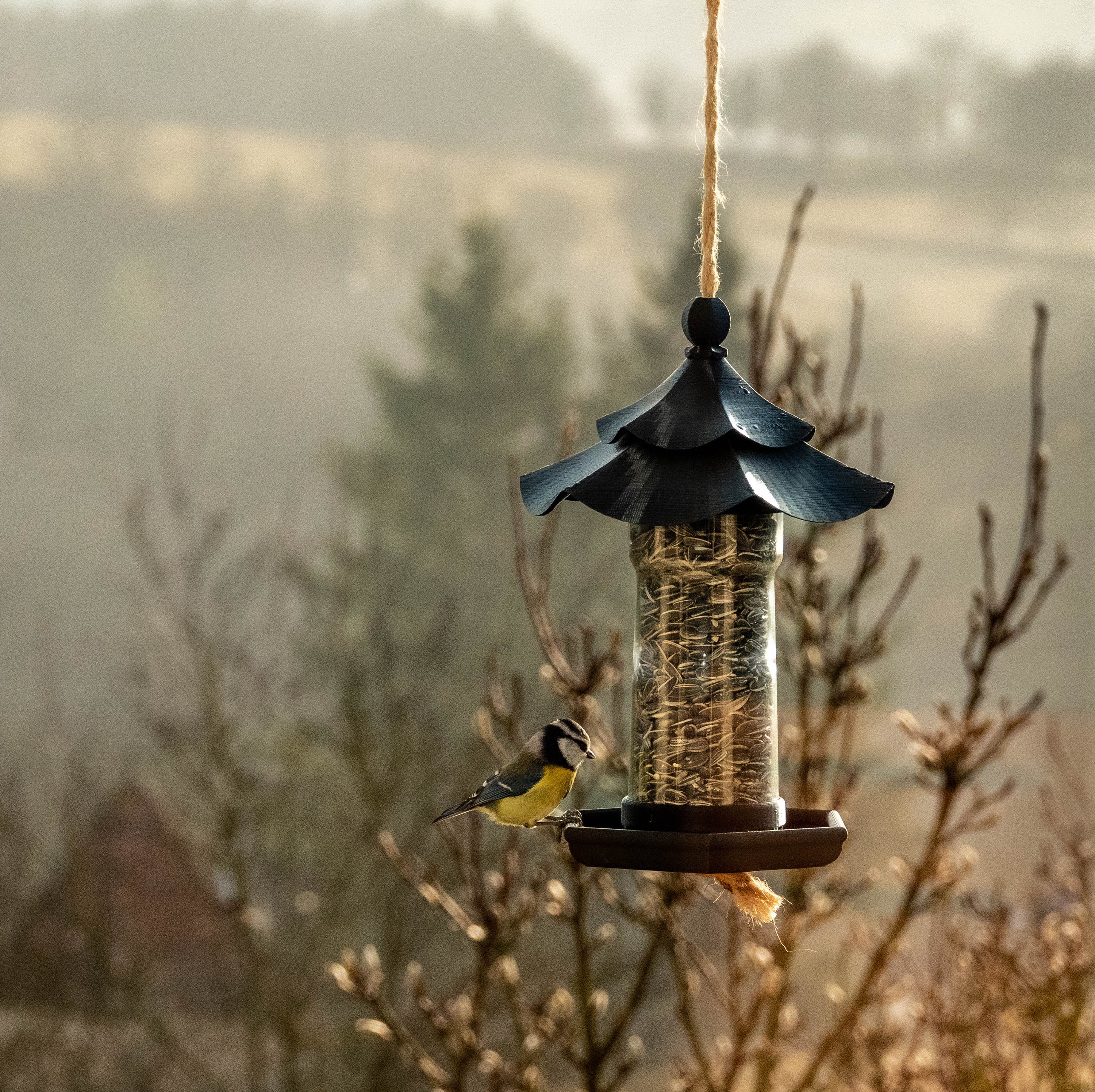 "pagoda" Designer Bird Feeder (black) - Etsy