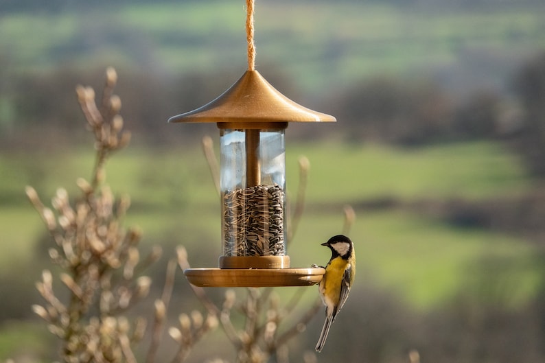 decorative bird feeder gold image 1