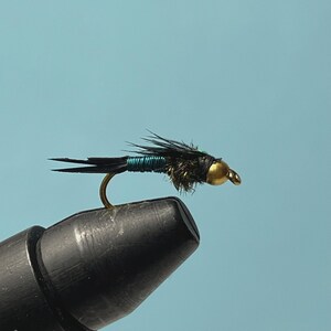 Può includere: Primo piano di un'esca da pesca a mosca. L'esca presenta una testa color oro, un corpo nero e un amo curvo. Il corpo è avvolto con un filo color verde acqua. Lo sfondo è azzurro.