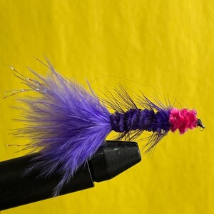 May include: Purple and pink fly fishing lure with a feathered tail and a fuzzy body.