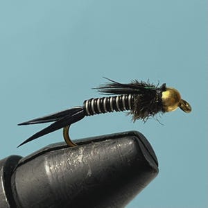 Può includere: Primo piano di una mosca da pesca. La mosca ha una testa color oro, un corpo nero con avvolgimento di filo d'argento e accenti di piume nere. L'amo è color oro. La mosca è tenuta in una morsa nera su sfondo azzurro.