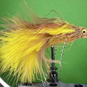 May include: A fishing fly, handmade with brown, yellow, and tan feathers. The fly features a textured head and a hook, and is mounted on a black and silver stand against a green backdrop.