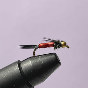 May include: A close-up of a fishing fly with a black body, red thread, and a gold-colored head. The fly is attached to a curved hook and is set against a light purple background. The fly is designed for fly fishing.
