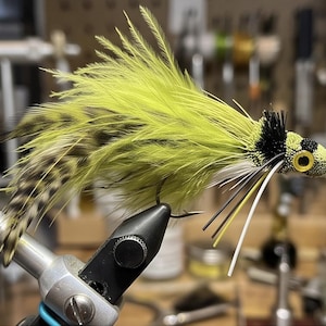 May include: A fishing fly lure featuring bright chartreuse feathers, brown and black mottled hackle, and a textured head with a yellow eye. The lure includes black and white rubber legs and is secured in a metal fly tying vise clamp.