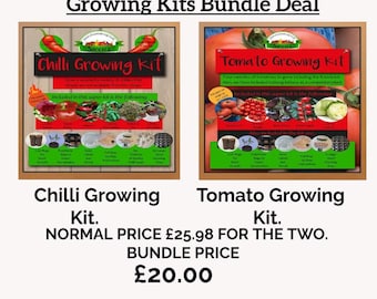 Chilli & Tomato Growing Kit Bundle, Seeds Included
