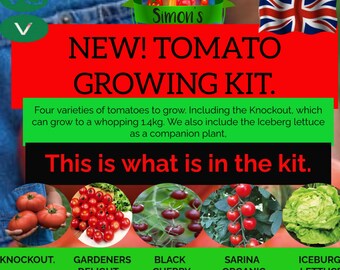 Tomato Growing Kit, Four Varieties of Tasty Tomatoes To Grow Plus All The Equipment Needed,