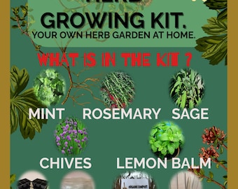 Organic Herb Growing Kit, Grow Your Own Herb Garden At Home,