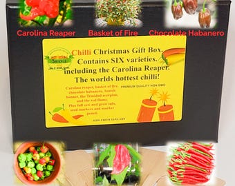 Chilli Growing Christmas Gift Box, 6 Hot Pepper Varieties
