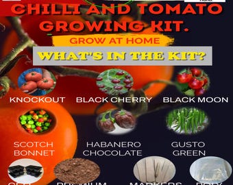Chilli & Tomato Growing Kit, Seeds, Home Garden