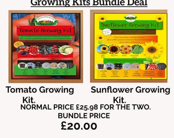 Tomato & Sunflower Growing Kit Bundle, Companion Planting