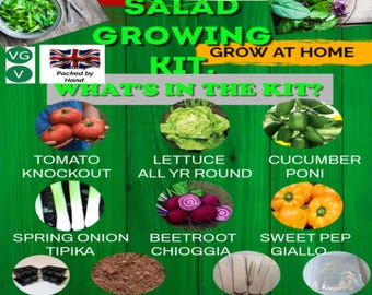 Salad Growing Kit: Popular Varieties Plus All The Kit Needed.