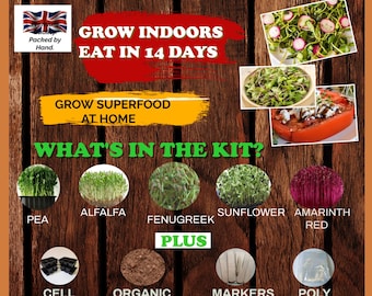 Microgreens Growing Kit, Five Varieties of Microgreens To Grow On Your Windowsill,