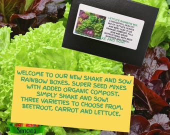 Shake and Sow Lettuce Rainbow Mix, Four Varieties, Plus Compost