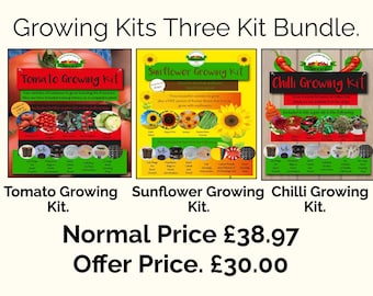 Tomato, Chilli, Sunflower Growing Kits,  Bundle Offer,