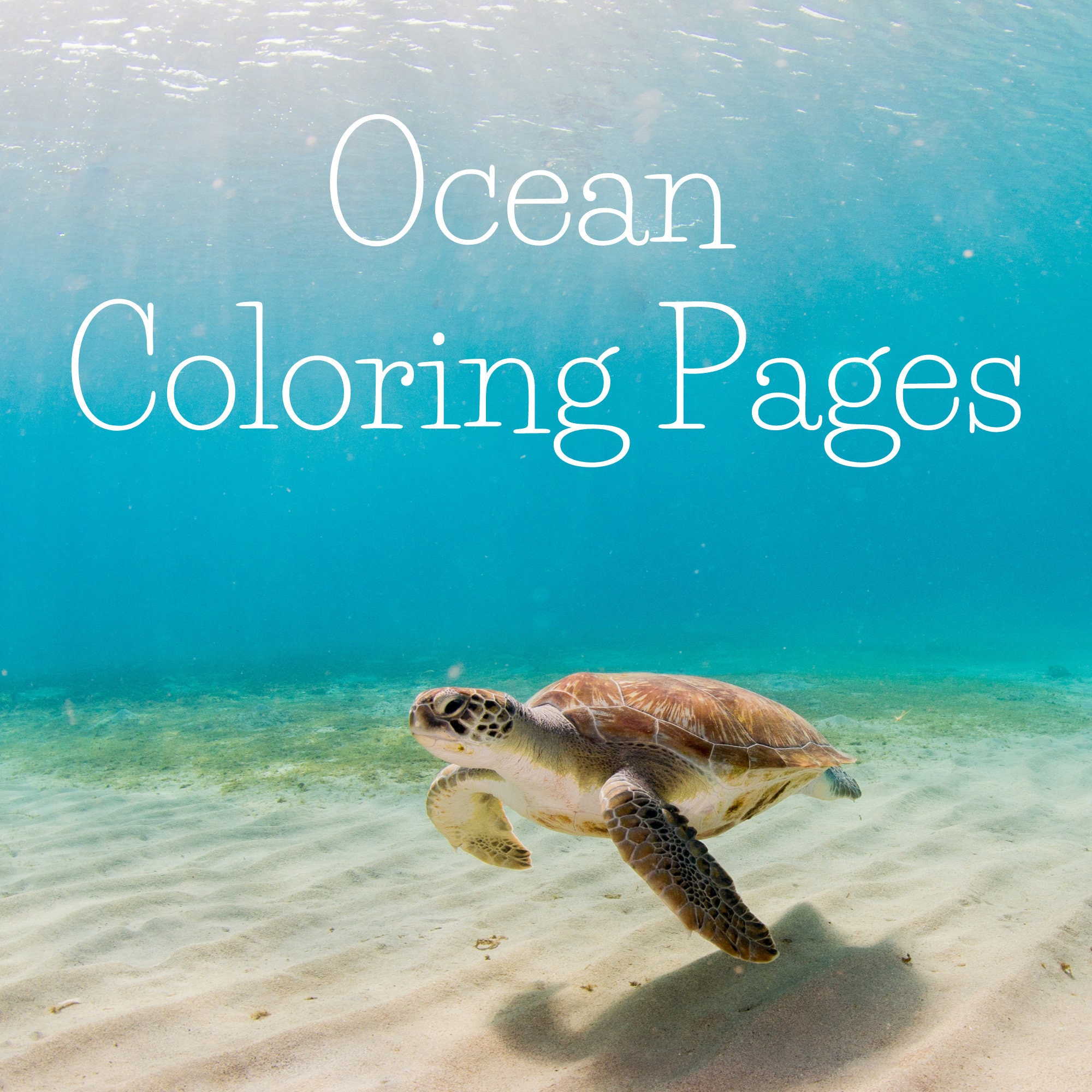 printable-ocean-coloring-pages-ocean-scenes-kids-will-love-to-color