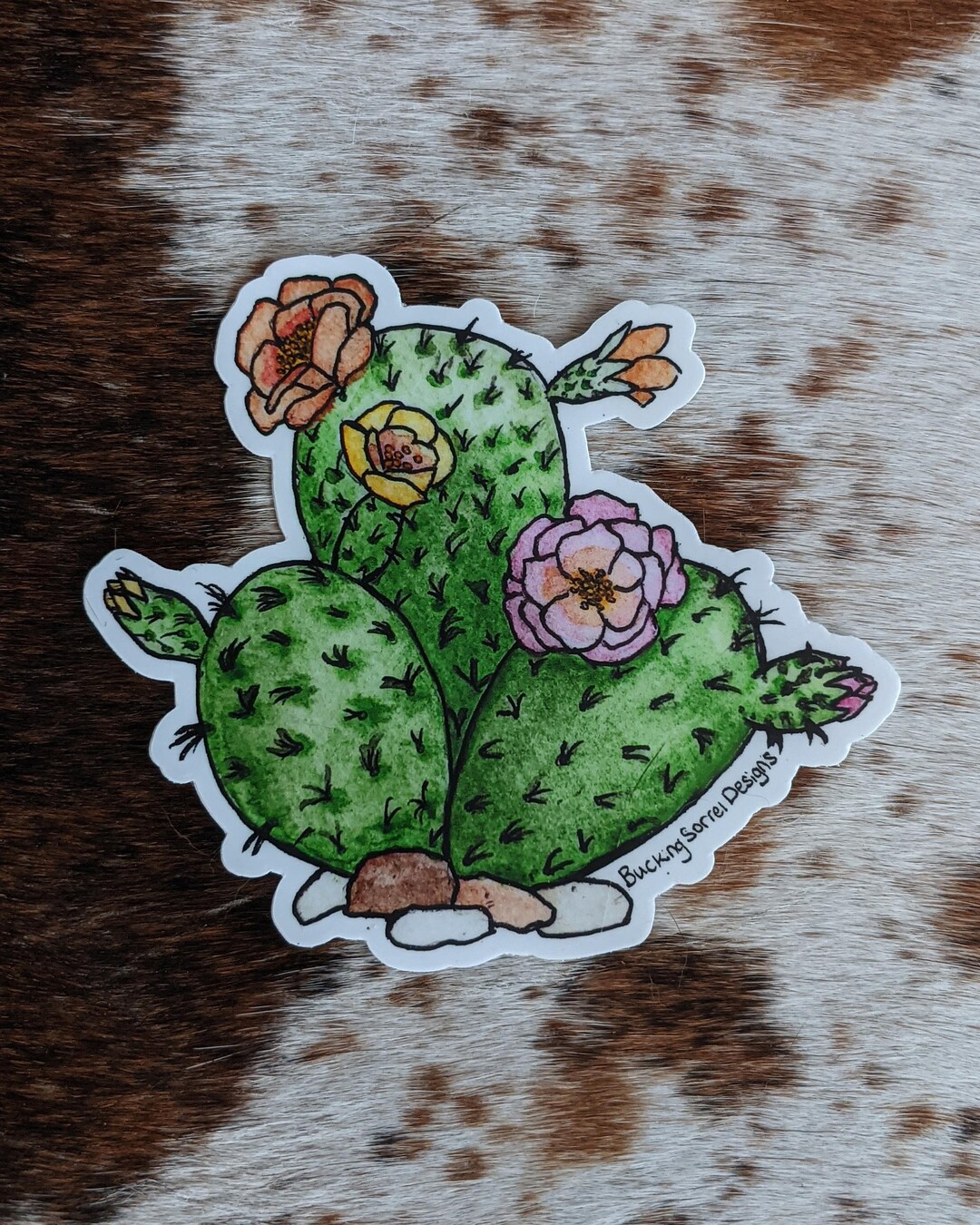 Plains Prickly Pear Cactus Decal - Etsy