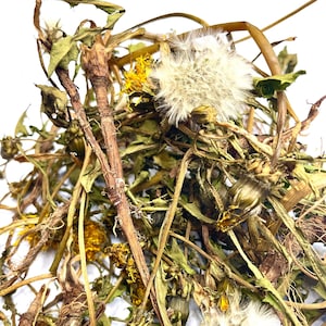 Dandelion Harvest - Small Pet Treats