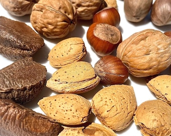 Nut Mix - Small Pet Treats