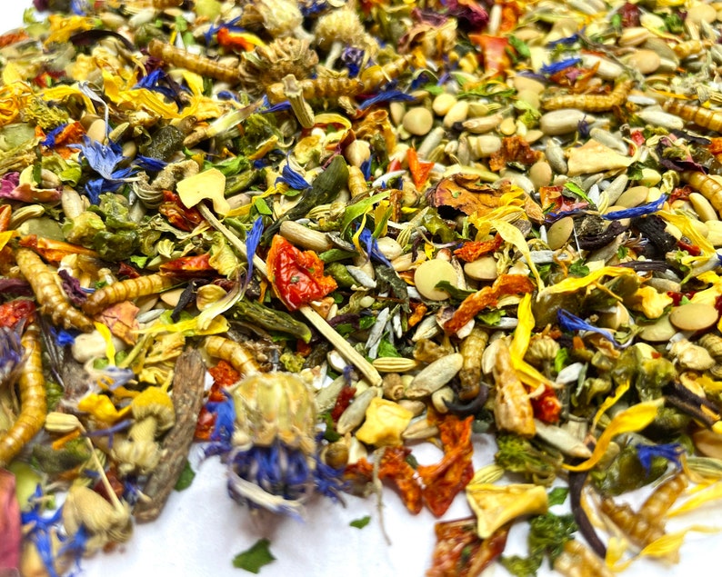 Puede incluir: Primer plano de una mezcla de hierbas, flores y semillas secas. La mezcla incluye p&eacute;talos, hojas y semillas secas en tonos de amarillo, naranja, rojo, verde y azul.